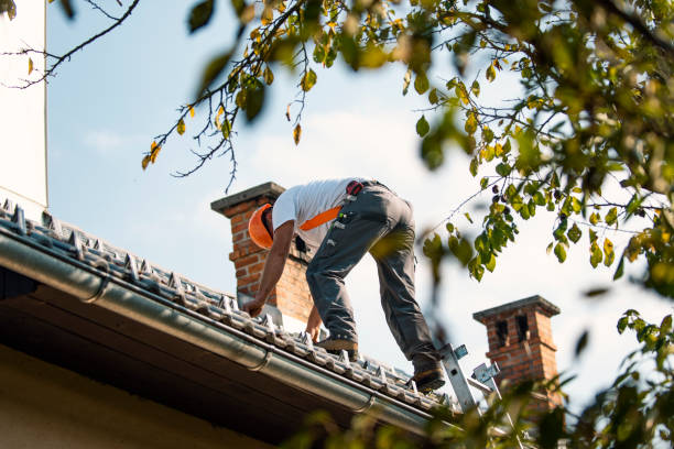 Best Roof Gutter Cleaning  in Friendship Heights Village, MD