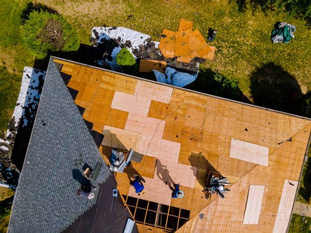 Quick and Trustworthy Emergency Roof Repair Services in Friendship Heights Village, MD